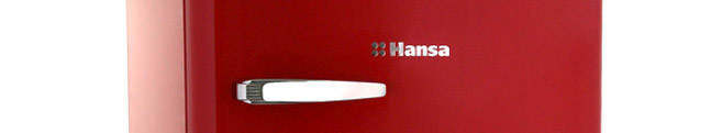 Ремонт холодильников Hansa в Раменском
